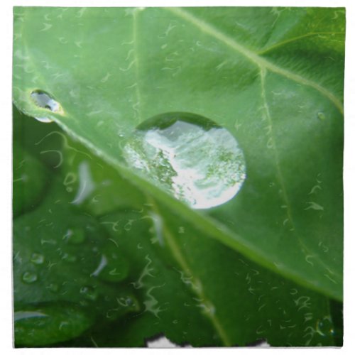 Water Drip on Leaf Water Conservation Design Cloth Napkin