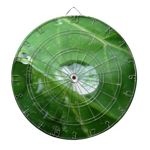 Water Drip on Leaf Water Conservation Design Dartboard