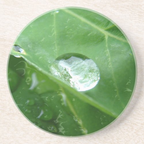 Water Drip on Leaf Water Conservation Design Drink Coaster