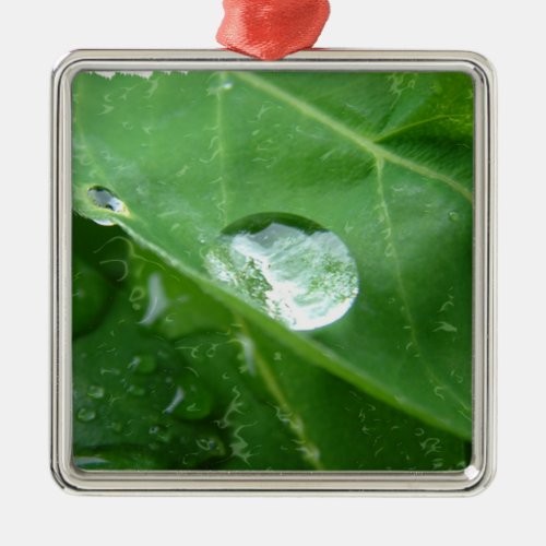 Water Drip on Leaf Water Conservation Design Metal Ornament