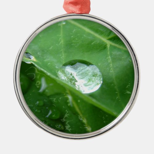 Water Drip on Leaf Water Conservation Design Metal Ornament