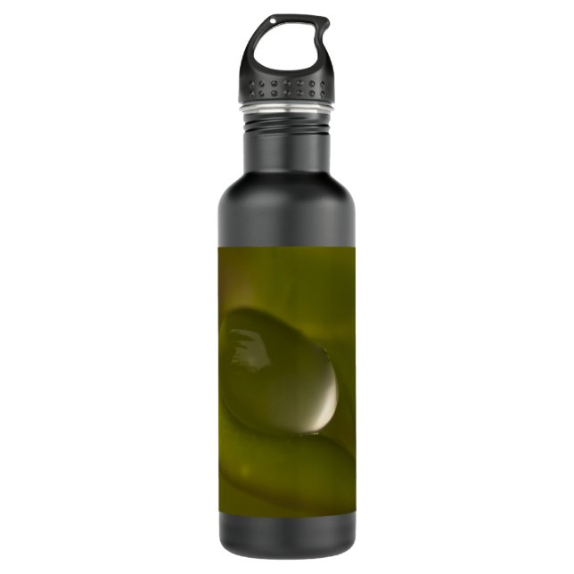 Water Drop 4 Stainless Steel Water Bottle (Front)