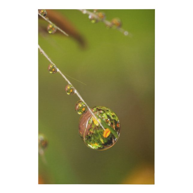 Water Droplet Close Up Faux Canvas Print (Front)