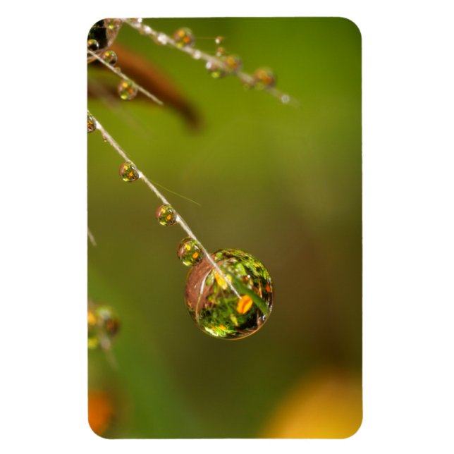 Water Droplet Close Up Magnet (Vertical)