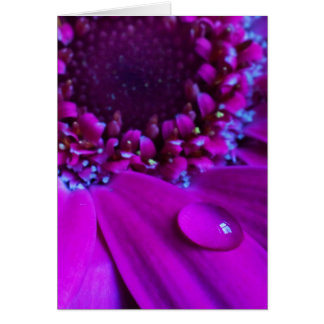 Water Droplet On Petal Cards