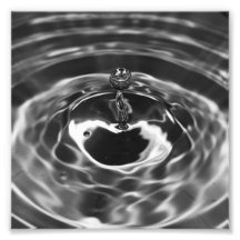 Water Droplet Photo Print