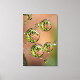 Water Droplet Reflection Canvas Print
