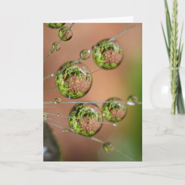 Water Droplet Reflection Card (Front)