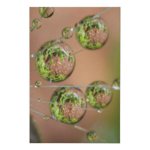 Water Droplet Reflection Faux Canvas Print