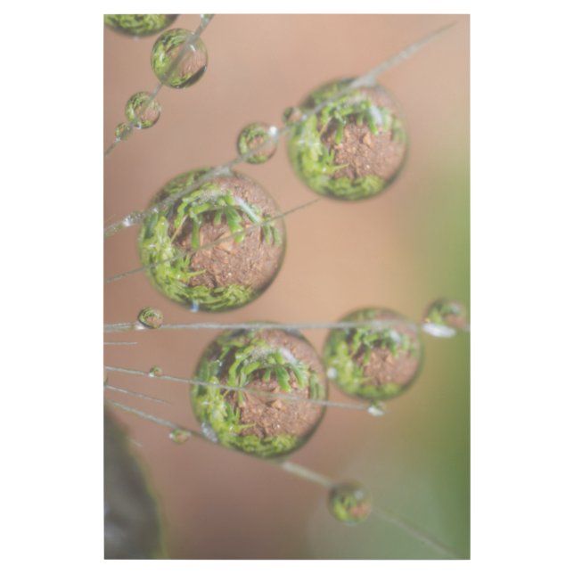 Water Droplet Reflection Gallery Wrap (Front)
