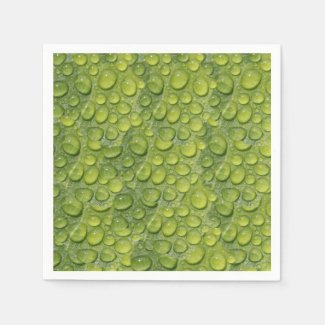 Water Droplets Green Leaf Nature Pattern