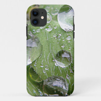 Water droplets on a green leaf iPhone 11 case