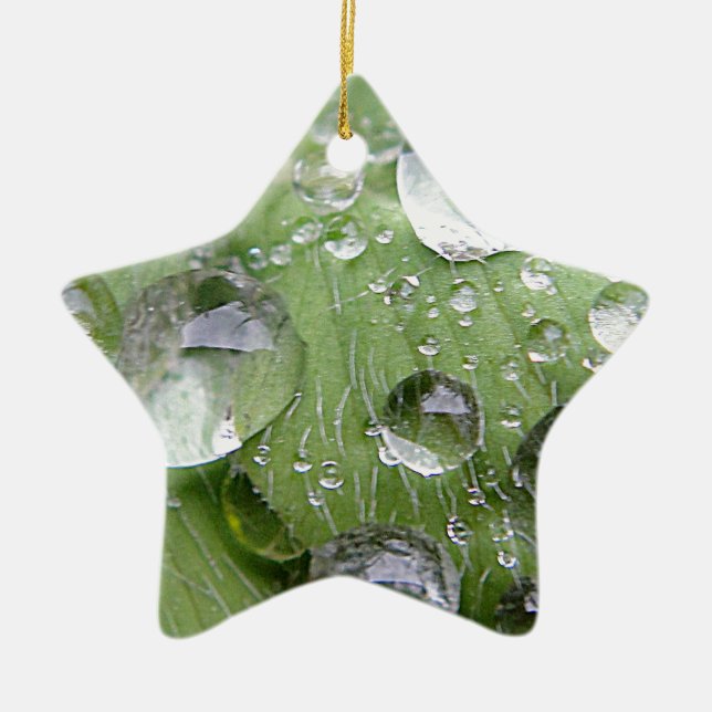 Water droplets on a green leaf ceramic ornament (Front)