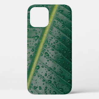 Water droplets on banana leaf iPhone 12 case
