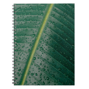 Water droplets on banana leaf notebook