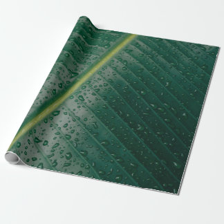 Water droplets on banana leaf wrapping paper