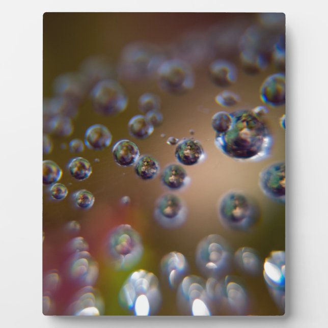 Water Droplets-Water in Motion Plaque (Front)