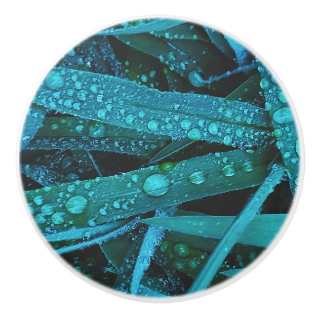 Water Drops Along the Grass Ceramic Knob (Front)