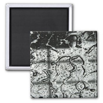 Water Drops Magnet by lynnsphotos at Zazzle