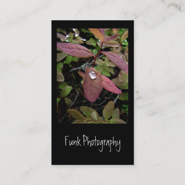 Water Drops on Foliage Business Card (Front)