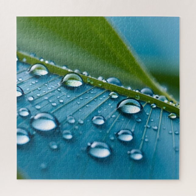 Water drops on leaves jigsaw puzzle (Vertical)
