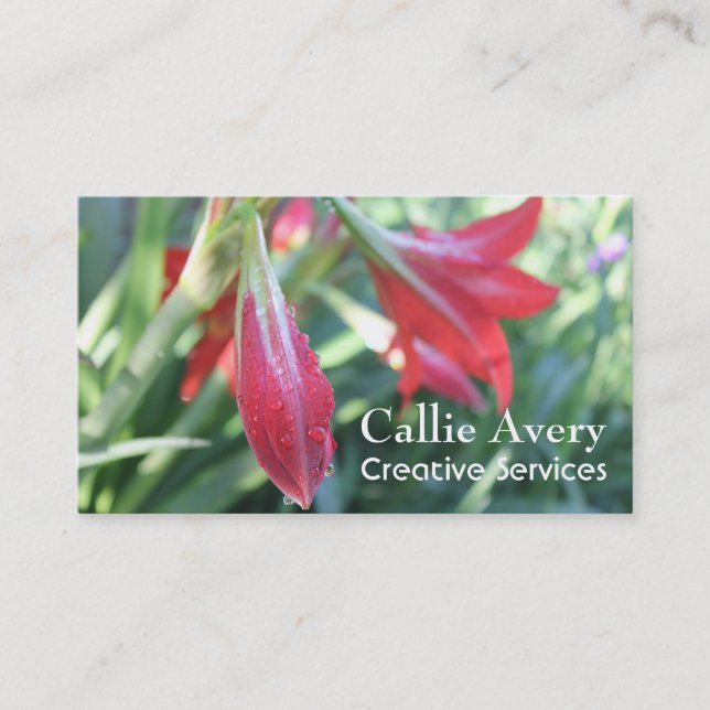 Water Drops on Red Daylilies Photo, Fully-Editable Business Card (Front)