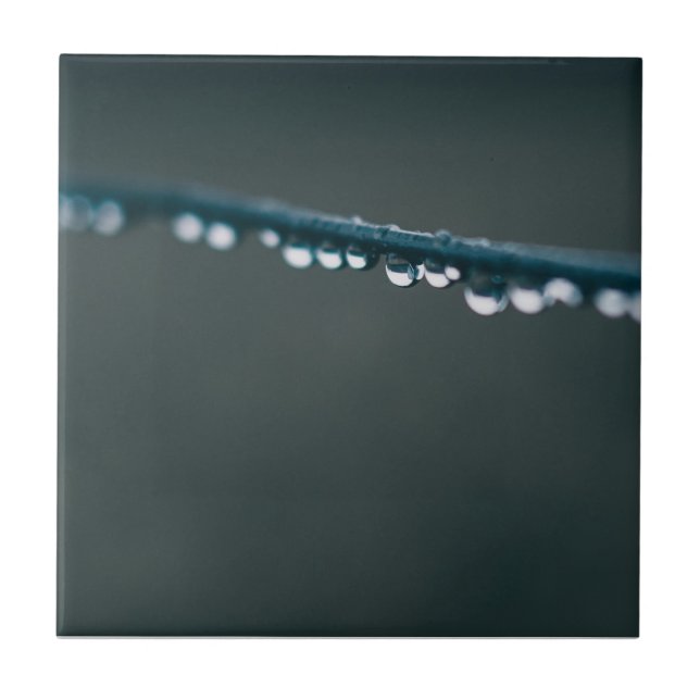 Water drops on wire ceramic tile (Front)