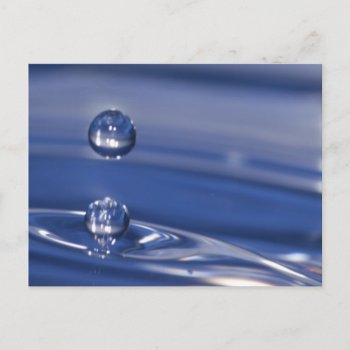 Water Drops Postcard by Argos_Photography at Zazzle