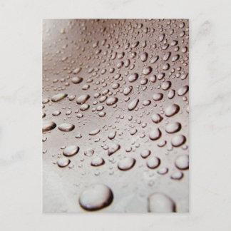 Water Drops Postcard