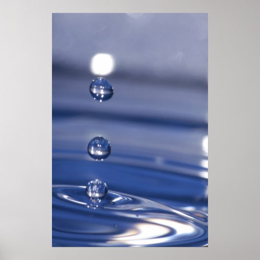 Water Drops Poster | Zazzle