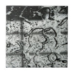 Water Drops Tile at Zazzle