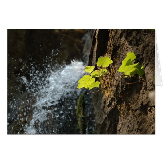 Water Falls Cards (Front Horizontal)