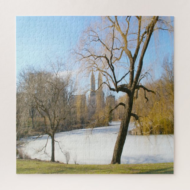 Water Feature Central Park New York Jigsaw Puzzle (Vertical)