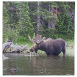 Water Feeding Moose Napkin