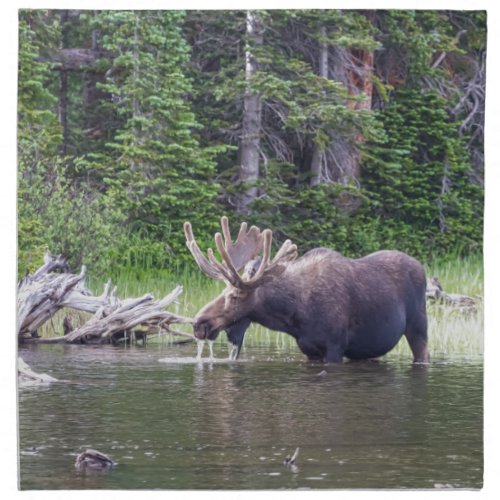 Water Feeding Moose Napkin