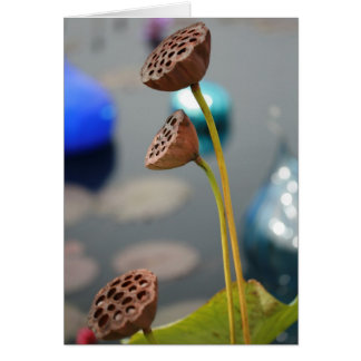 Water flowers2 Blank Card