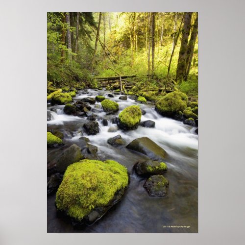Water Flowing By Moss Covered Rocks In A Stream Poster