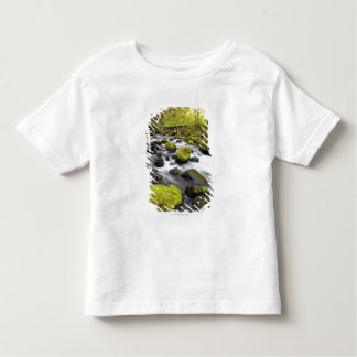 Water Flowing By Moss Covered Rocks In A Stream Toddler T-shirt