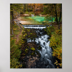 Water flowing through autumn forest poster