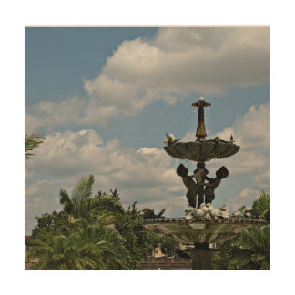 Water Fountain at Hollis Gardens Wood Wall Art