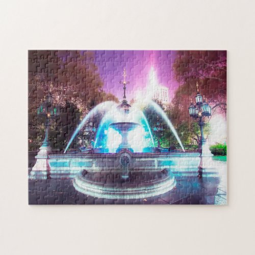 Water Fountains City Hall New York Jigsaw Puzzle