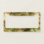 Water from Hot Springs Green-Gold Nature License Plate Frame