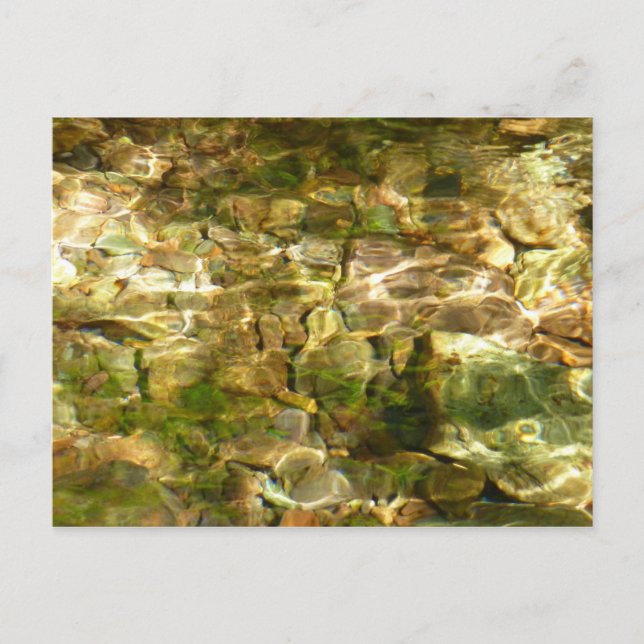 Water from Hot Springs Green-Gold Nature Postcard (Front)