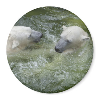 Water Fun Polar Bears Magnet