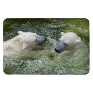 Water Fun Polar Bears Magnet