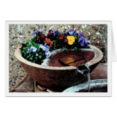 Water Garden (Front Horizontal)