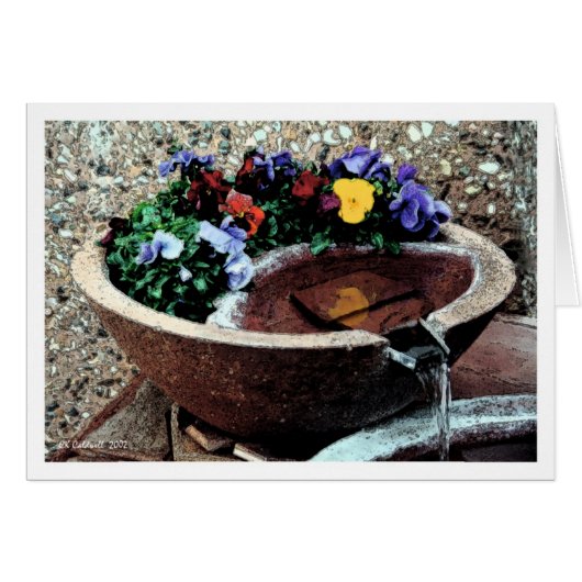 Water Garden Cards (Front Horizontal)