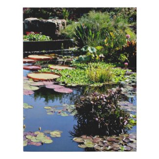 Water Garden Pond Photo Home Wall Art Canvas Print