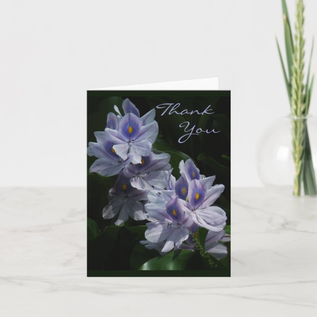 Water Hyacinths Thank You Note Card (Front)