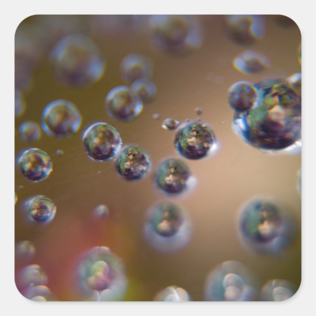 Water in Motion Square Sticker (Front)